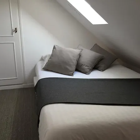 Apartamento Duplex Des Tonneliers Centre Historique Estrasburgo